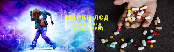 стаф Новозыбков