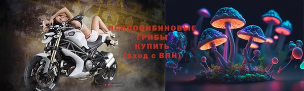 дурь Нязепетровск