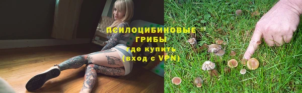 дурь Нязепетровск