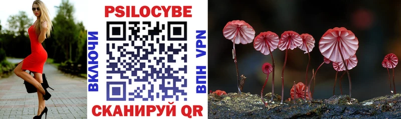 Псилоцибиновые грибы Psilocybe  где продают наркотики  Покровск 